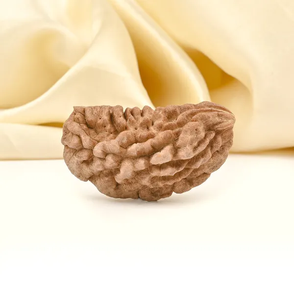 1_Mukhi_Half_Moon_Large_Xxx