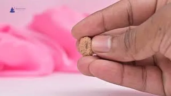 19_Mukhi_Rudraksha_Bead_Indonesia_Origin_Narayana