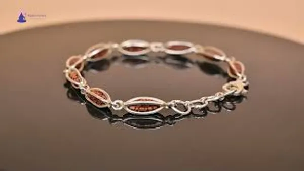 1_Mukhi_Rudraksha_925_Silver_Cage_Design_Bracelet