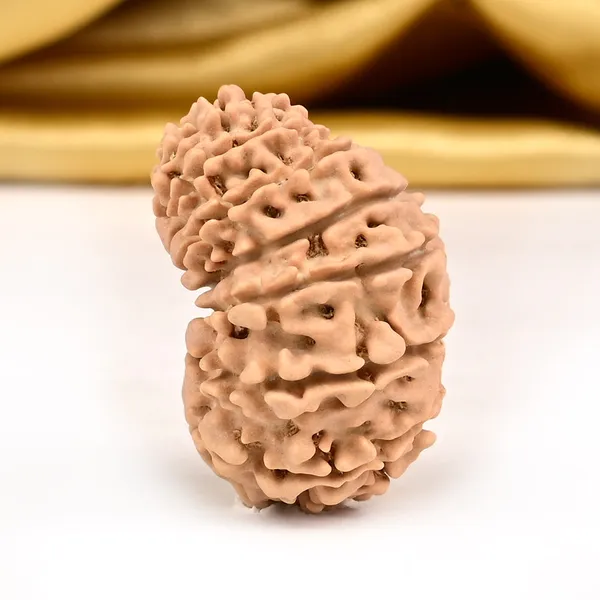 Techpandit_16_Mukhi_Nepali_Rudraksha_Bead_Small