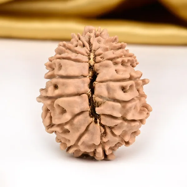Techpandit_16_Mukhi_Nepali_Rudraksha_Bead_Small