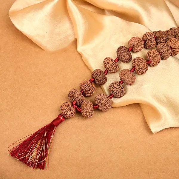 12_Mukhi_Rudraksha_Kantha_Mala_Nepal