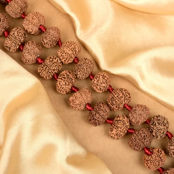 12_Mukhi_Rudraksha_Kantha_Mala_Nepal