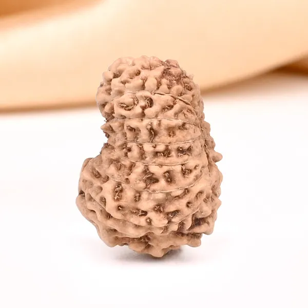 15_Mukhi_Java_Rudraksha_Bead_For_Emotional_Balance