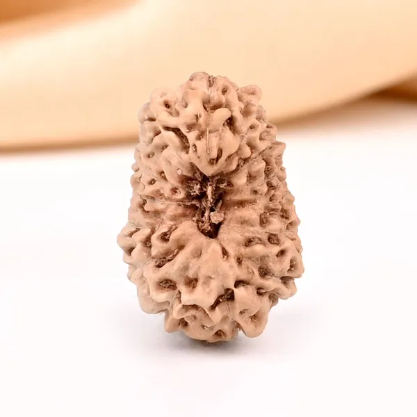 15_Mukhi_Java_Rudraksha_Bead_For_Emotional_Balance
