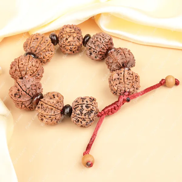 10_Mukhi_Nepali_Rudraksha_X_Red_Sandal_Adjustable_Bracelet