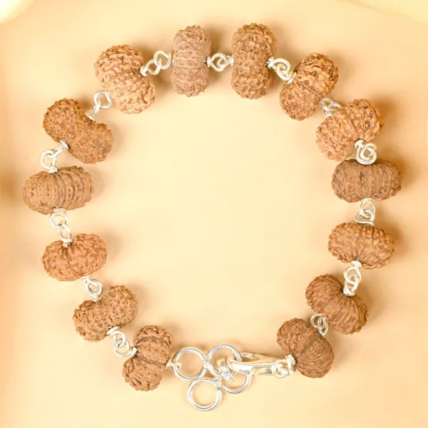 Techpandit_Brown_Rudraksha_16_Mukhi_925_Silver_Wire_Bracelet