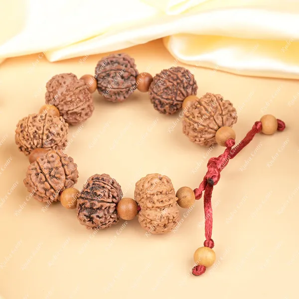 10_Mukhi_Nepali_Rudraksha_X_White_Sandal_Adjustable_Bracelet