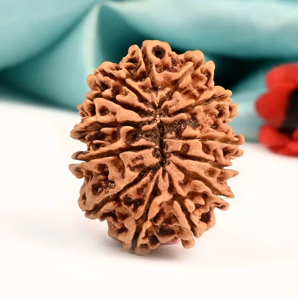 Techpandit_13_Mukhi_Nepal_Rudraksha_Bead