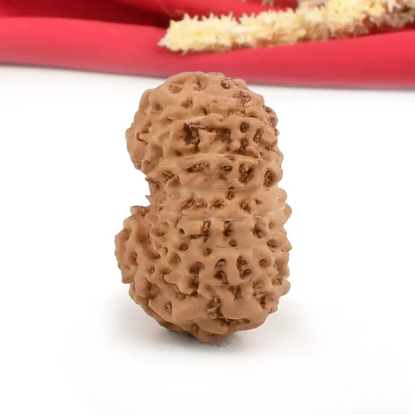 15_Mukhi_Java_Rudraksha_Bead_For_Emotional_Balance