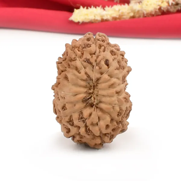 15_Mukhi_Java_Rudraksha_Bead_For_Emotional_Balance