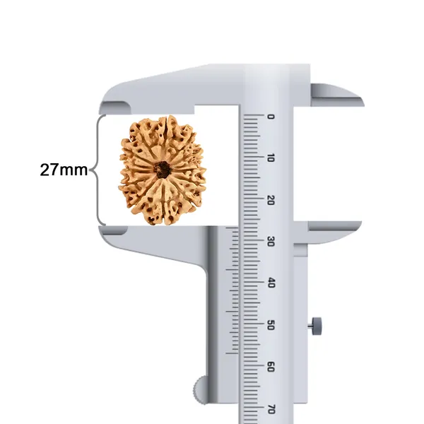 Techpandit_14_Mukhi_Nepali_Rudraksha_Bead