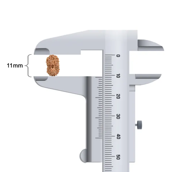 Techpandit_18_Mukhi_Rudraksha_Bead_Indonesia