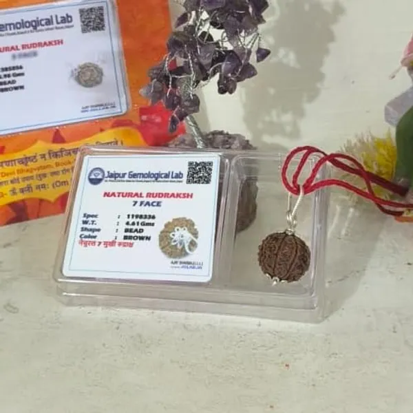 A_S_Ventures_7_Mukhi_Rudraksha_Original_Certified_Seven_Face_Rudraksha_For_Wealth_Prosperity_Energized_Authentic_With_Certification_Card_For_Men_Women_Powerful_Spiritual_Benefits
