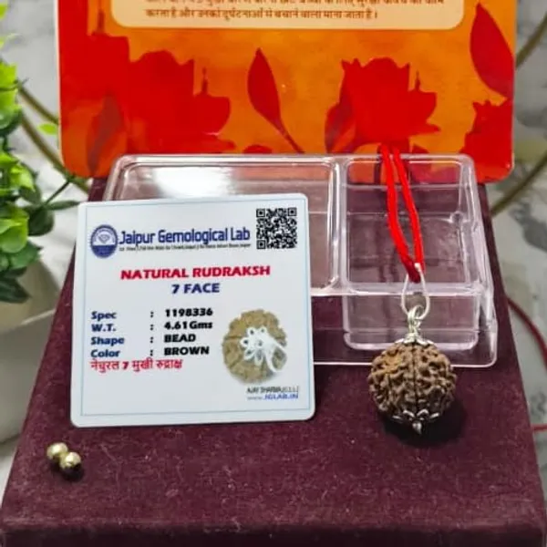 A_S_Ventures_7_Mukhi_Rudraksha_Original_Certified_Seven_Face_Rudraksha_For_Wealth_Prosperity_Energized_Authentic_With_Certification_Card_For_Men_Women_Powerful_Spiritual_Benefits