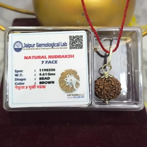 A_S_Ventures_7_Mukhi_Rudraksha_Original_Certified_Seven_Face_Rudraksha_For_Wealth_Prosperity_Energized_Authentic_With_Certification_Card_For_Men_Women_Powerful_Spiritual_Benefits
