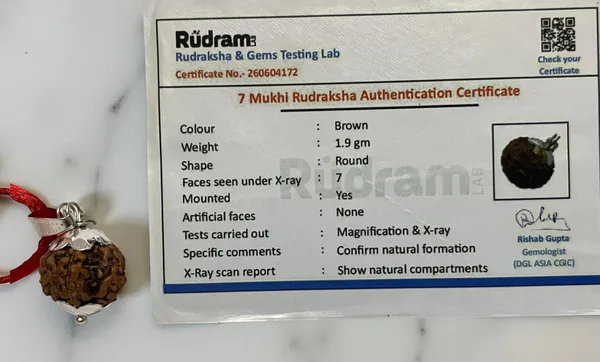 A_S_Ventures_7_Mukhi_Rudraksha_Original_Certification_Silver_Pendent_For_Men_Women_Brings_Good_Luck_Add_A_Qr_Code_For_Verifying_The_Authenticity_Of_Your_7_Mukhi_Rudraksha