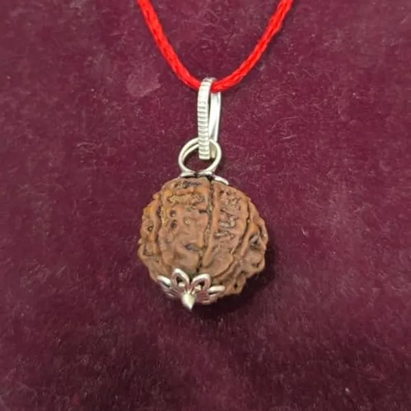A_S_Ventures_7_Mukhi_Rudraksha_Original_Certification_Silver_Pendent_For_Men_Women_Brings_Good_Luck_Add_A_Qr_Code_For_Verifying_The_Authenticity_Of_Your_7_Mukhi_Rudraksha