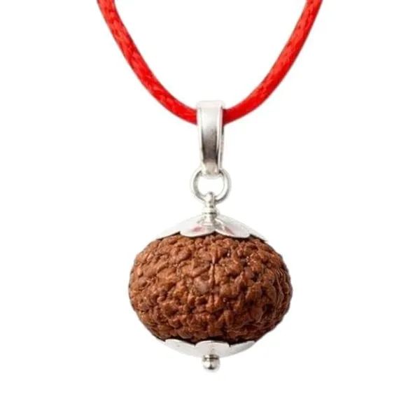 A_S_Ventures_7_Mukhi_Rudraksha_Original_Certification_Silver_Pendent_For_Men_Women_Brings_Good_Luck_Add_A_Qr_Code_For_Verifying_The_Authenticity_Of_Your_7_Mukhi_Rudraksha