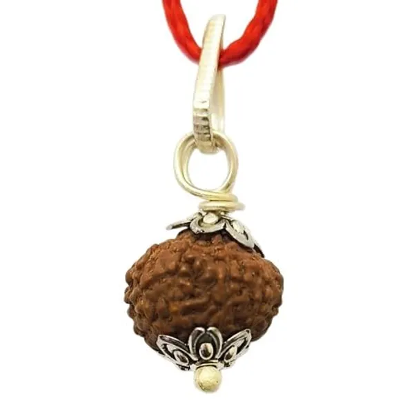 Product_Summary_A_S_Ventures_9_Mukhi_Rudraksha_Certified_Original_From_Nepal_Silver_Capped_Pendant_With_Red_Thread_Unisex_Bead_For_Men_Women_Add_A_Qr_Code_For_Verifying_The_Authenticity_Of_9_Mukhi_Rudraksha