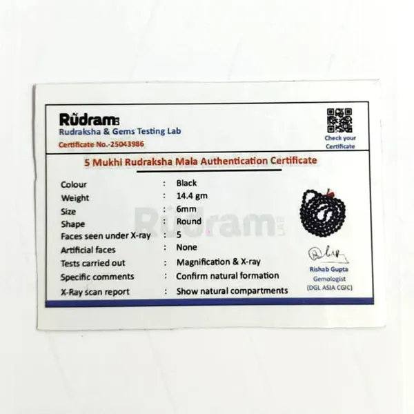 A_S_Ventures_Original_Panchmukhi_Rudraksha_Mala_Black_6_Mm_108_1_For_Japa_And_Meditation_Natural_5_Mukhi_Beads_With_Authentic_Certificate_Small_Beads