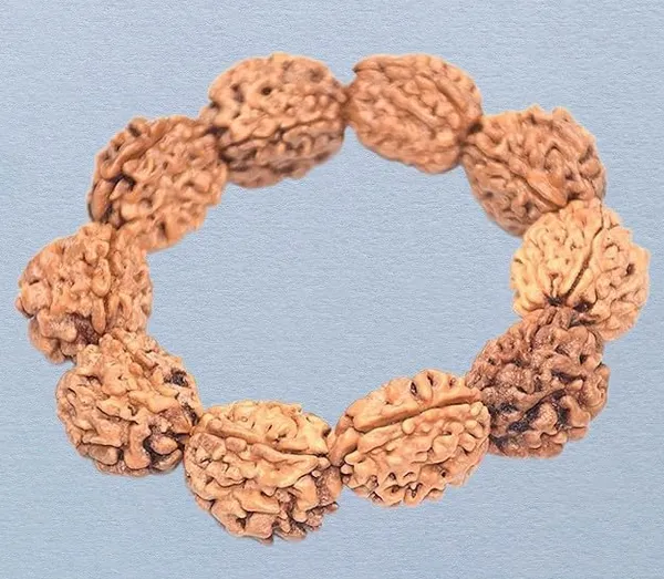 A_S_Ventures_Original_3_Mukhi_Rudraksha_Bracelet_For_Men_Women_Natural_Three_Face_Rudraksh_Beads_Rudraksha_For_Confidence_Energy_Positivity