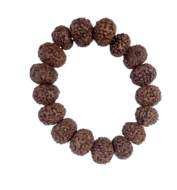 A_S_Ventures_Sivaksh_8_Mukhi_Original_Rudraksha_Bracelet_Unisex_Lab_Certified_Natural_Eight_Mukhi_Rudraksha_Spiritual_Bracelet_For_Success_Confidence_Focus_Vastu_Dosha_Nivaran