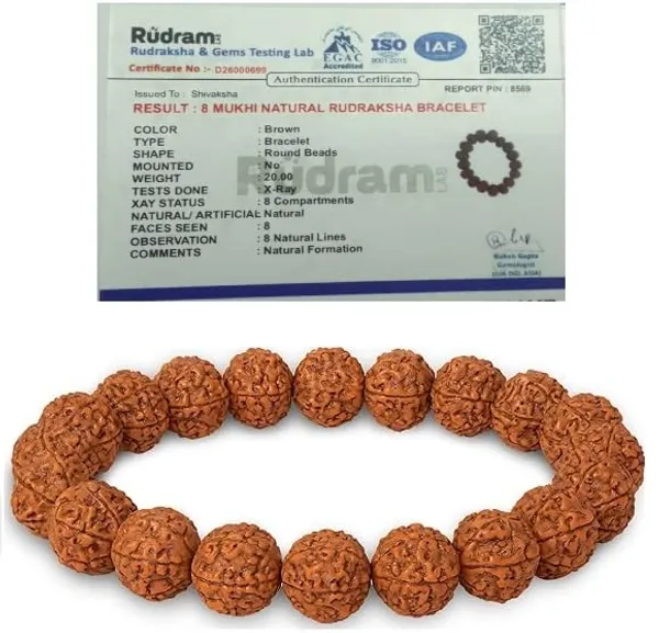 A_S_Ventures_Sivaksh_8_Mukhi_Original_Rudraksha_Bracelet_Unisex_Lab_Certified_Natural_Eight_Mukhi_Rudraksha_Spiritual_Bracelet_For_Success_Confidence_Focus_Vastu_Dosha_Nivaran