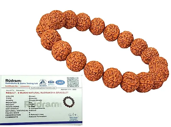 A_S_Ventures_Shivaksh_Certified_8_Mukhi_Rudraksha_Bracelet_For_Men_Women_Original_Natural_Rudraksh_Bracelet_Ganesha_Rudraksha_For_Intelligence_Prosperity_Career_Growth_Negativity_Protection