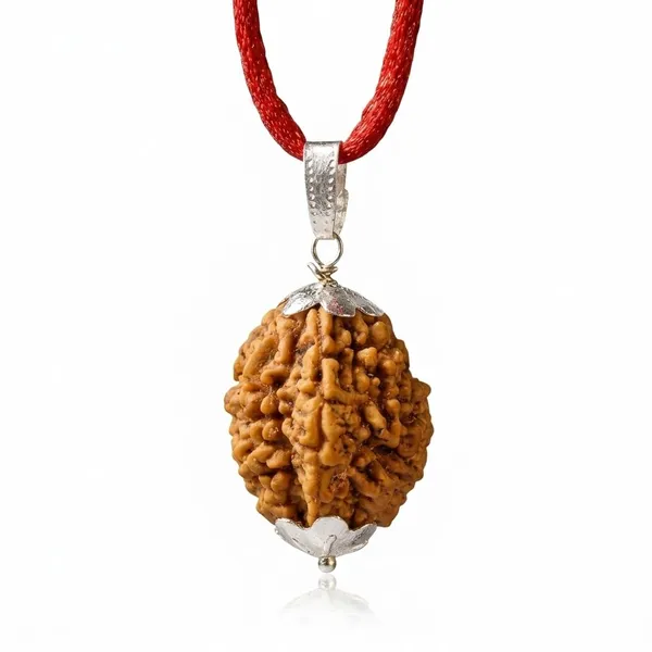 A_S_Ventures_2_Mukhi_Rudraksha_Original_Two_Face_Rudraksh_Pendant_Natural_Bead_For_Relationship_Harmony_Moon_Planet_Inner_Peace_Spiritual_Gift_For_Men_Women