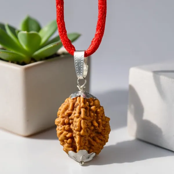 A_S_Ventures_2_Mukhi_Rudraksha_Original_Two_Face_Rudraksh_Pendant_Natural_Bead_For_Relationship_Harmony_Moon_Planet_Inner_Peace_Spiritual_Gift_For_Men_Women