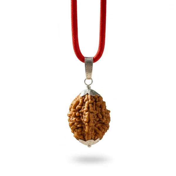 A_S_Ventures_2_Mukhi_Rudraksha_With_Two_Faced_Rudraksha_For_Positive_Energy_Silver_Pendent_With_Red_Thread_With_Original_Certificate_Scan_And_Verify_Dana_Unisex_For_Men_Women