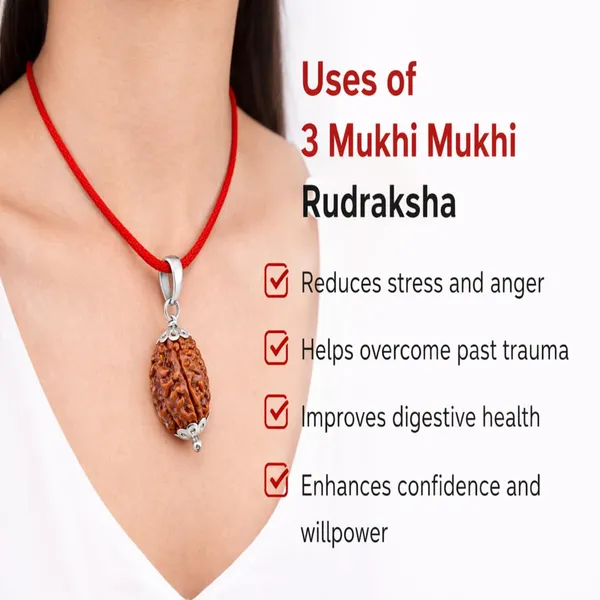 A_S_Ventures_Original_3_Mukhi_Nepali_Rudraksha_Pendant_Three_Mukhi_Rudraksha_For_Confidence_Energy_Positivity_Certified_3_Face_Rudraksh_Bead_Necklace_For_Men_Women