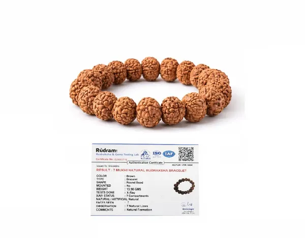 A_S_Ventures_7_Mukhi_Rudraksha_Bracelet_For_Men_Women_Lab_Certified_Original_7_Face_Rudraksh_Beads_Wealth_Prosperity_Positive_Energy_Bracelet_Brown_Round_Beads_Stretchable