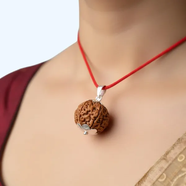 A_S_Ventures_5_Mukhi_Rudraksha_Natural_And_Certified_Panchmukhi_Face_Rudraksha_For_Mental_Peace_Positive_Energy_Best_Rudraksha_Both_For_Men_Women