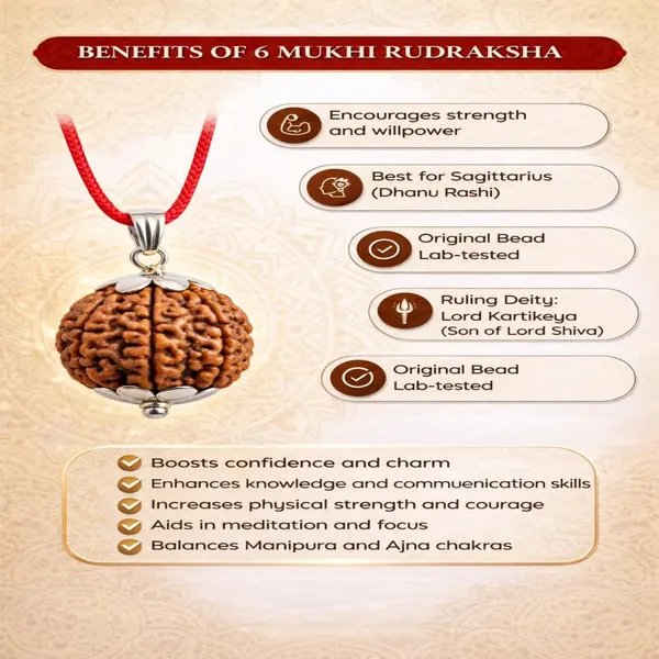 A_S_Ventures_6_Mukhi_Rudraksha_Lab_Certified_Helps_To_Improve_Wisdom_Knowledge_6_Mukhi_Rudraksha_Original_Certified_Six_Face_Rudraksh_Unisex_Design_For_Men_Women