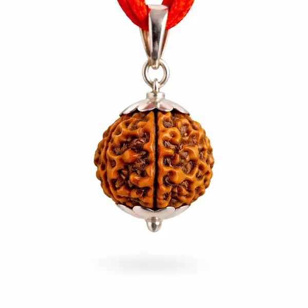 A_S_Ventures_6_Mukhi_Rudraksha_Lab_Certified_Helps_To_Improve_Wisdom_Knowledge_6_Mukhi_Rudraksha_Original_Certified_Six_Face_Rudraksh_Unisex_Design_For_Men_Women