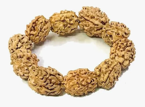 A_S_Ventures_3_Mukhi_Rudraksha_Bracelet_For_Men_Women_Original_Three_Face_Rudraksh_Beads_Bracelet_Agni_Blessed_Spiritual_Healing_Bracelet_For_Confidence_Stress_Relief_Positive_Energy