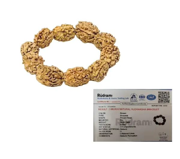 A_S_Ventures_3_Mukhi_Rudraksha_Bracelet_For_Men_Women_Original_Three_Face_Rudraksh_Beads_Bracelet_Agni_Blessed_Spiritual_Healing_Bracelet_For_Confidence_Stress_Relief_Positive_Energy