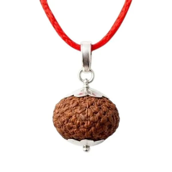 A_S_Ventures_7_Mukhi_Rudraksha_Pendant_Original_Natural_Seven_Face_Rudraksha_Energized_Unisex_Lab_Certified_Spiritual_Jewelry_For_Wealth_Prosperity_Success