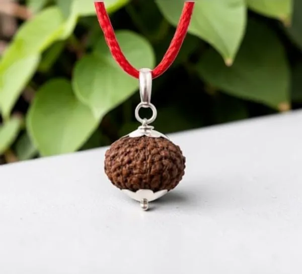 A_S_Ventures_9_Mukhi_Rudraksha_Pendant_9_Face_With_Certified_Energized_Powerful_Strength_Protection_Fear_Ketu_Grah_Rudraksha_Original_9_Face_Rudraksha_9_Mukhi_Rudraksha_Pendant