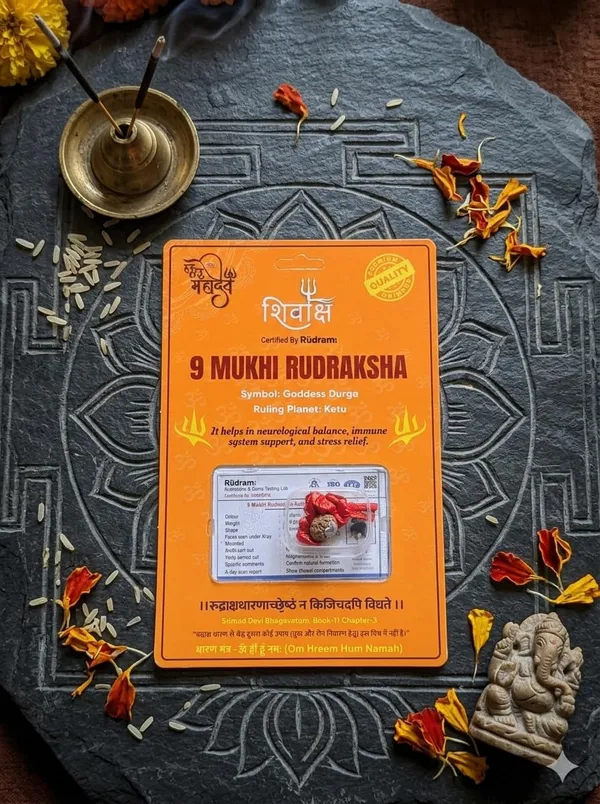 A_S_Ventures_9_Mukhi_Rudraksha_Pendant_9_Face_With_Certified_Energized_Powerful_Strength_Protection_Fear_Ketu_Grah_Rudraksha_Original_9_Face_Rudraksha_9_Mukhi_Rudraksha_Pendant