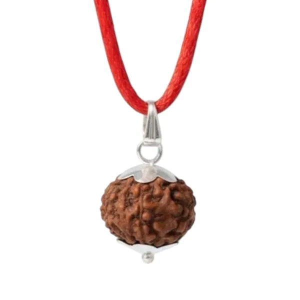A_S_Ventures_10_Mukhi_Rudraksha_Ten_Mukhi_Rudraksha_Natural_Authentic_Bead_Blessed_By_Lord_Vishnu_Powerful_Protection_Pendant_10_Face
