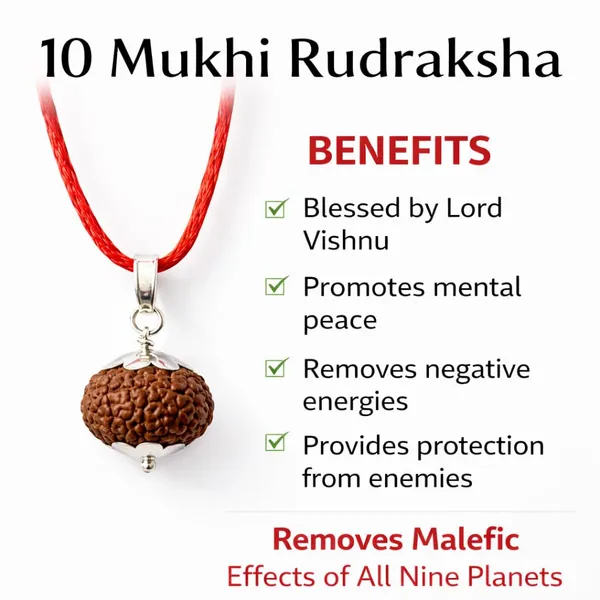 A_S_Ventures_10_Mukhi_Rudraksha_Ten_Mukhi_Rudraksha_Natural_Authentic_Bead_Blessed_By_Lord_Vishnu_Powerful_Protection_Pendant_10_Face