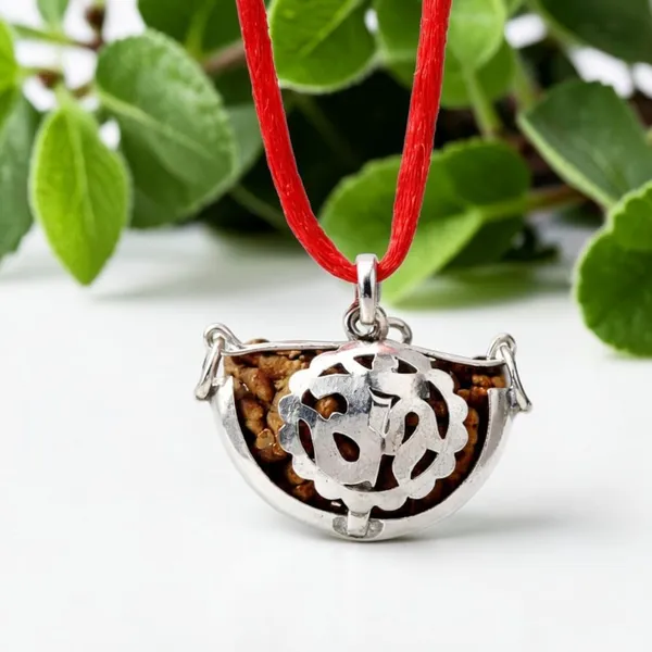 A_S_Ventures_1_Mukhi_Rudraksha_Pendant_Original_Ek_Mukhi_Rudraksha_With_Red_Thread_Natural_Certified_Rudraksha_For_Shiv_Puja_Meditation_Spiritual_Healing_For_Men_Women