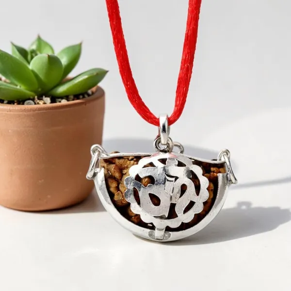 A_S_Ventures_Original_1_Mukhi_Rudraksha_Pendant_With_Red_Thread_Natural_Certified_Ek_Mukhi_Rudraksha_For_Shiv_Puja_Meditation_Spiritual_Healing_For_Men_Women