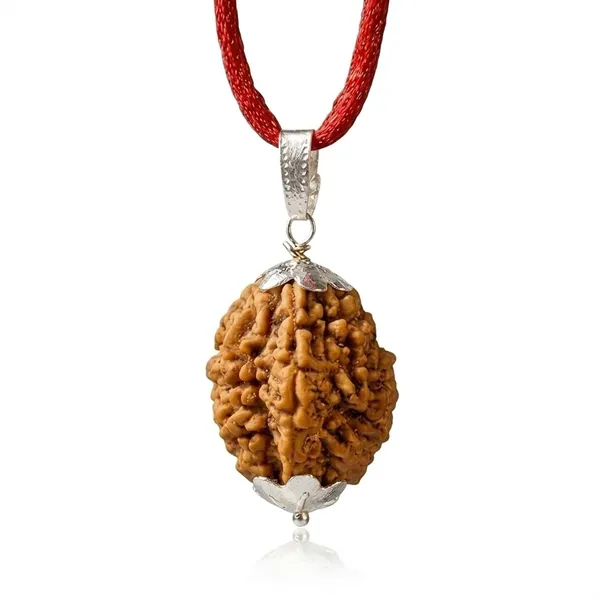 A_S_Ventures_Certified_2_Mukhi_Rudraksha_Pendant_Original_Two_Mukhi_Rudraksha_Bead_For_Relationship_Balance_Calm_Mind_Daily_Spiritual_Wear