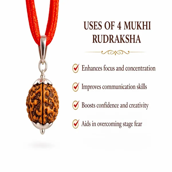 A_S_Ventures_Original_4_Mukhi_Rudraksha_Pendant_Lab_Certified_Four_Mukhi_Rudraksha_Bead_For_Spiritual_Growth_Knowledge_Meditation_Natural_4_Face_Rudraksh_For_Men_Women