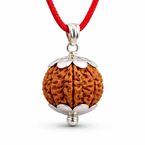 A_S_Ventures_7_Mukhi_Rudraksha_Pendant_With_Silver_Cap_Original_Natural_Seven_Face_Rudraksha_Locket_For_Wealth_Prosperity_Success_Energized_Spiritual_Pendant_For_Men_Women