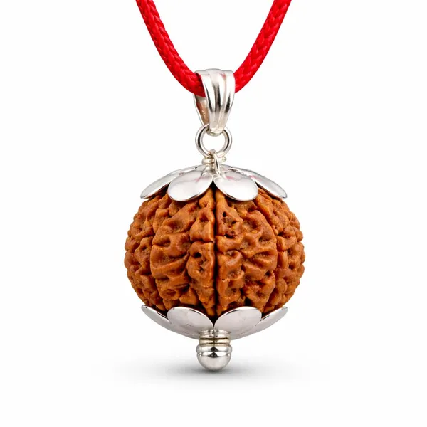 A_S_Ventures_7_Mukhi_Rudraksha_Pendant_With_Silver_Cap_Original_Natural_Seven_Face_Rudraksha_Locket_For_Wealth_Prosperity_Success_Energized_Spiritual_Pendant_For_Men_Women
